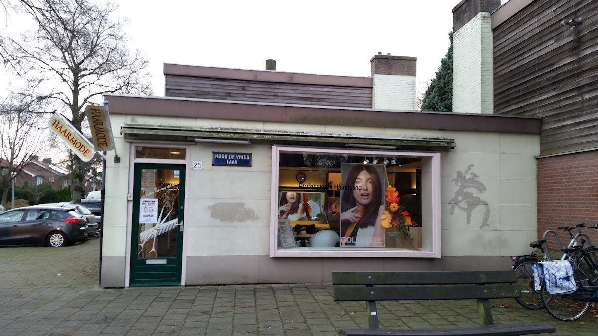 Professional Hairstyling