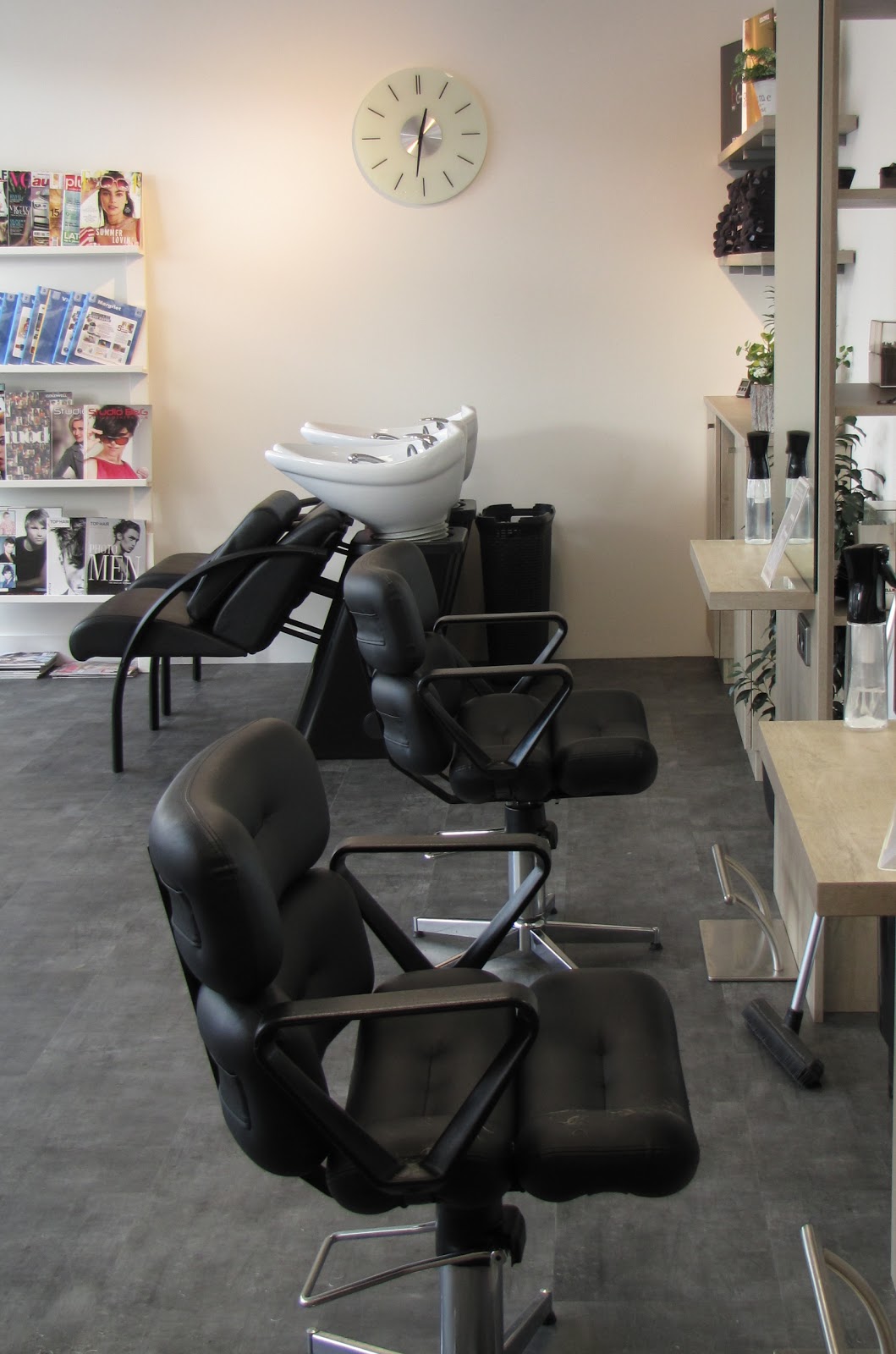 Professional Hairstyling